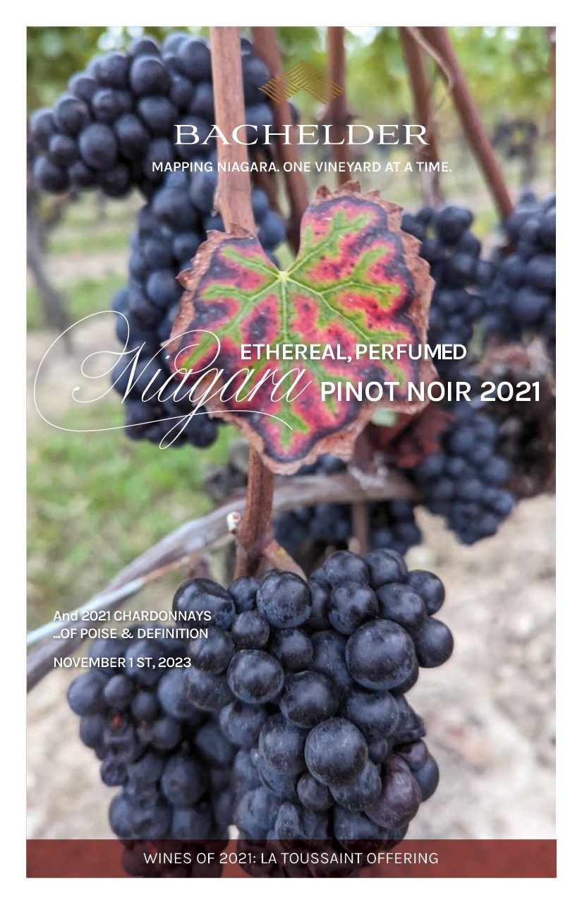 English la Violette Catalogue cover