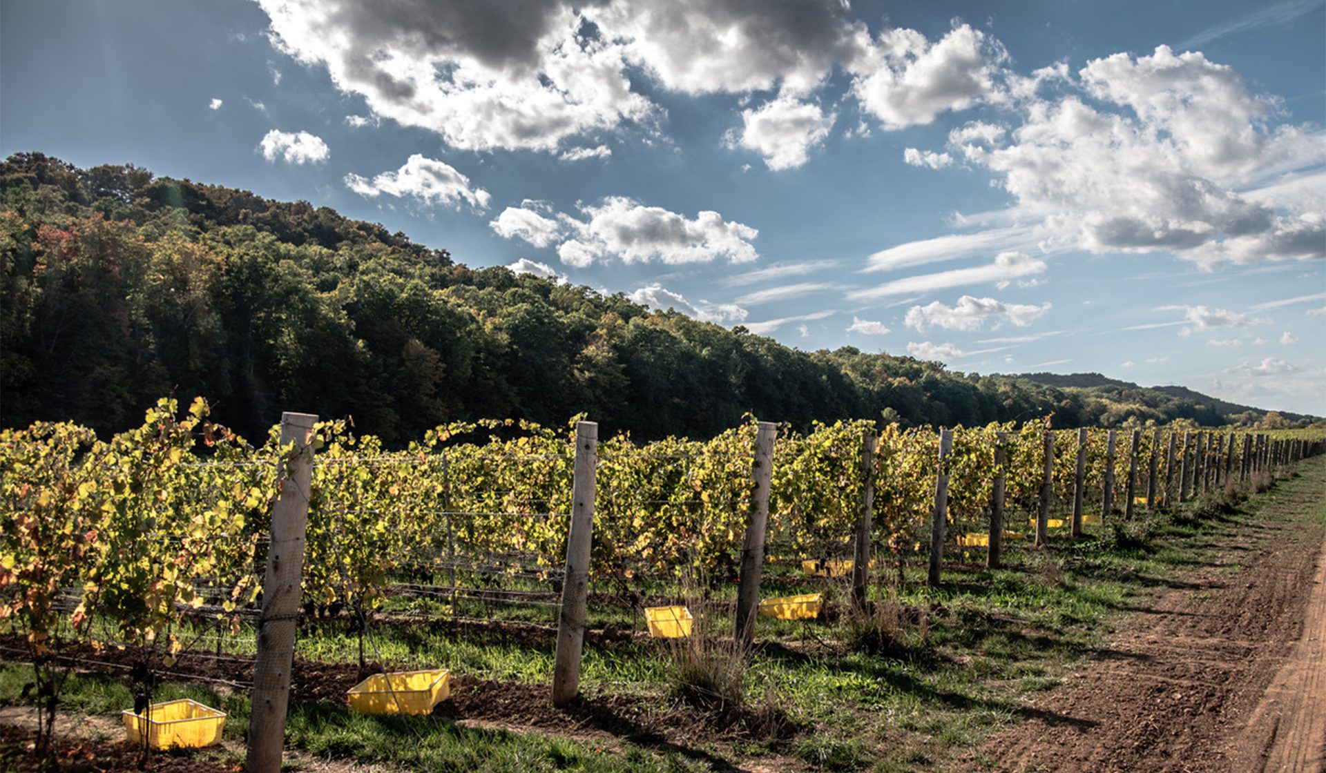 Grimsby Hillside - Beamsville & Beyond