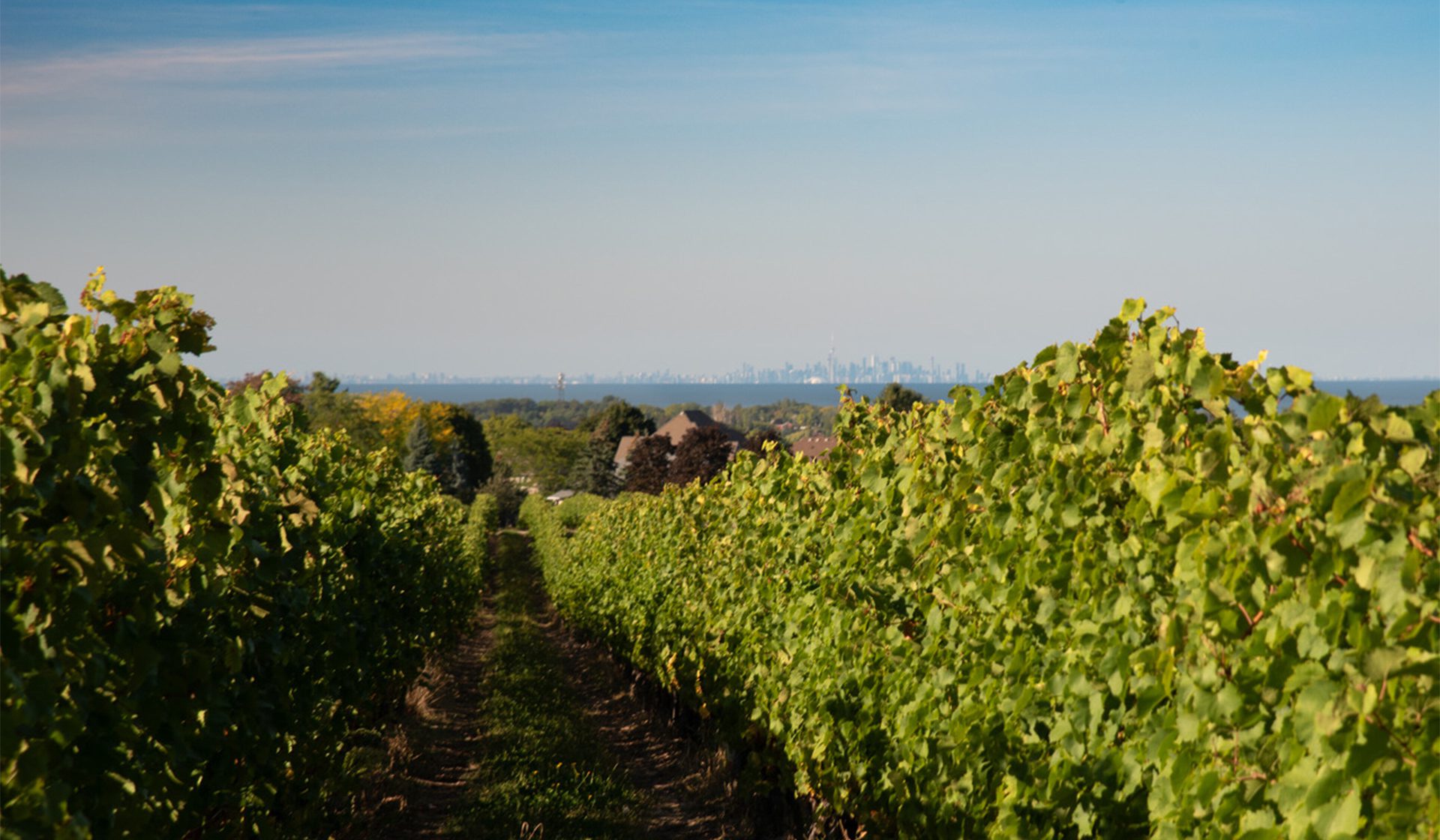 Wismer-Foxcroft - Jordan & Vineland Benches