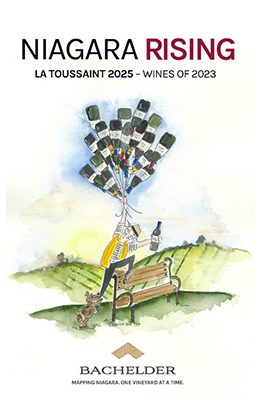 sketch of Thomas Bachelder with wine bottle balloons going up in the air